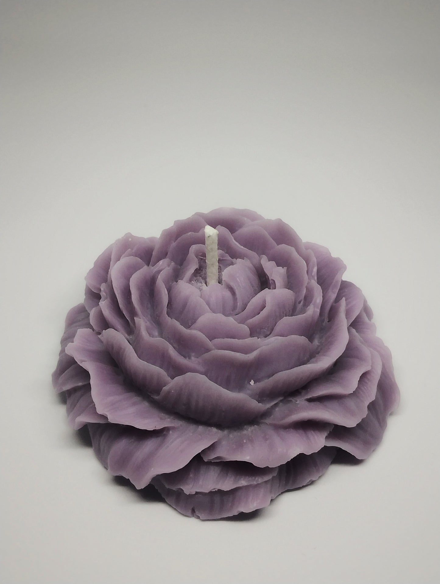 Lavender Bloom Peony