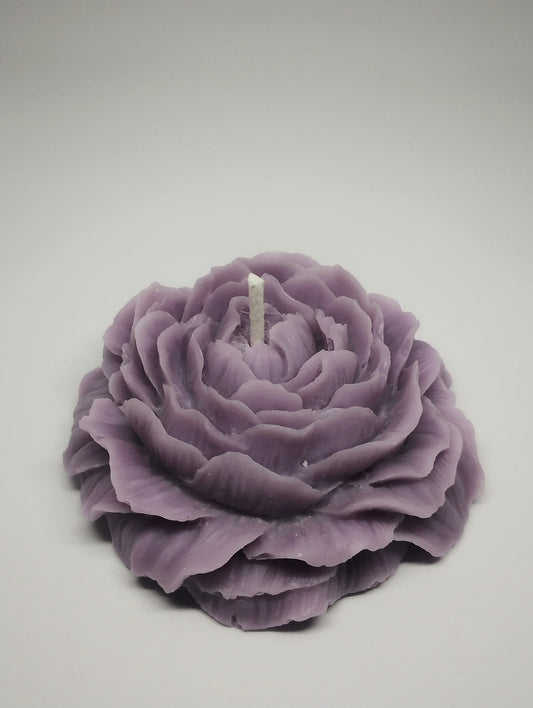 Lavender Bloom Peony