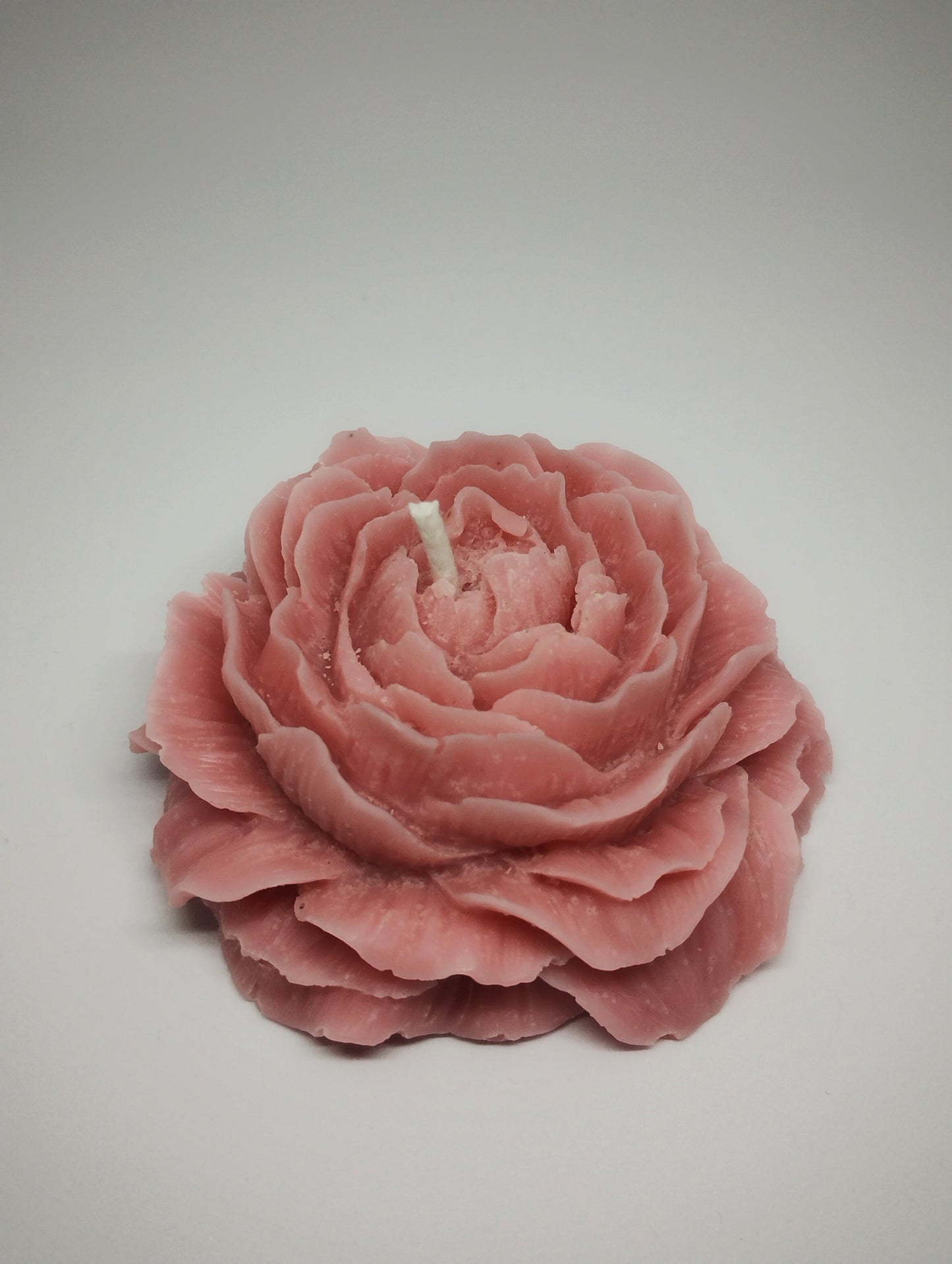 Blush Bloom Peony
