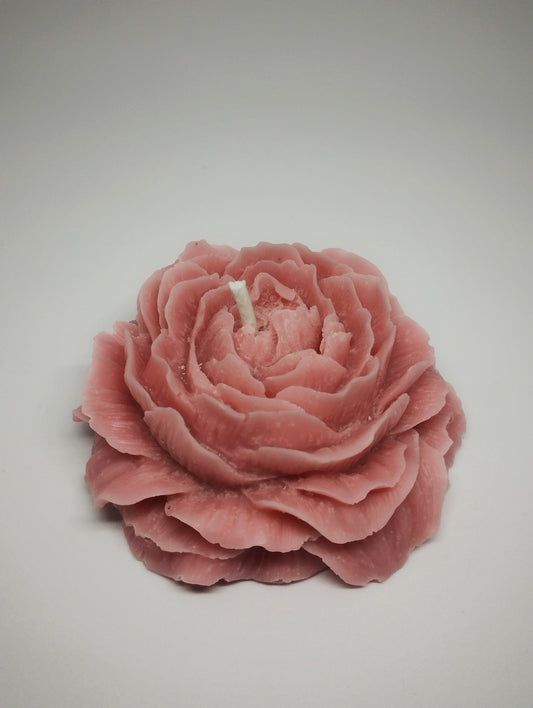 Blush Bloom Peony