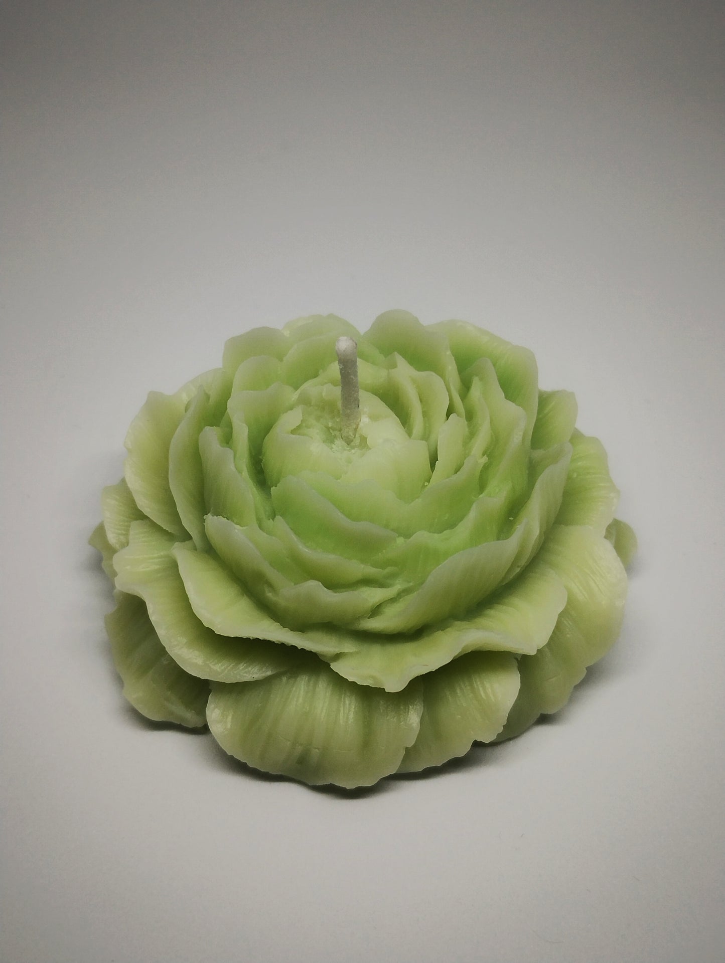 Pastel Green Peony
